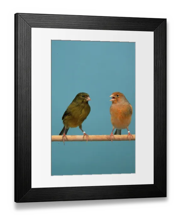 Framed Print : Canary Islands Framed Print : Canary Islands