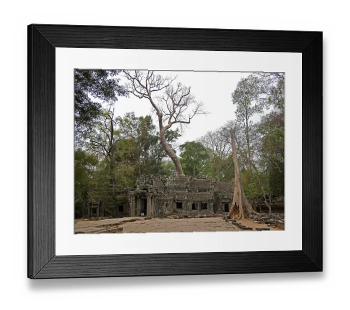 Framed Print : Ruins at Ta Prohm Temple, Siem Reap Province