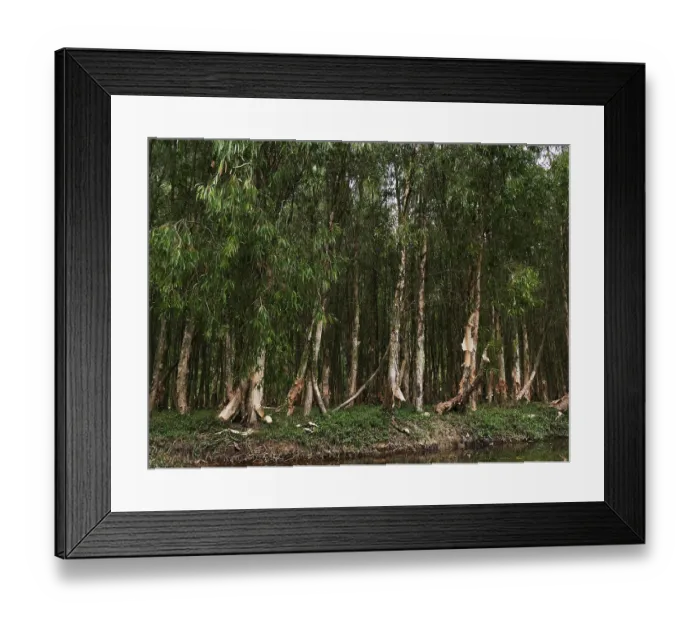 Framed Print : Vietnam, Ninh Binh Area, Hoa Lu, Landscape Framed Print : Vietnam, Ninh Binh Area, Hoa Lu, Landscape