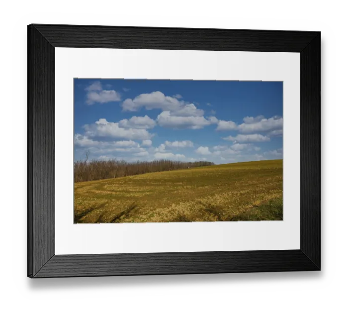 Framed Print : At the transition of a field to a neighbouring forest Framed Print : At the transition of a field to a neighbouring forest