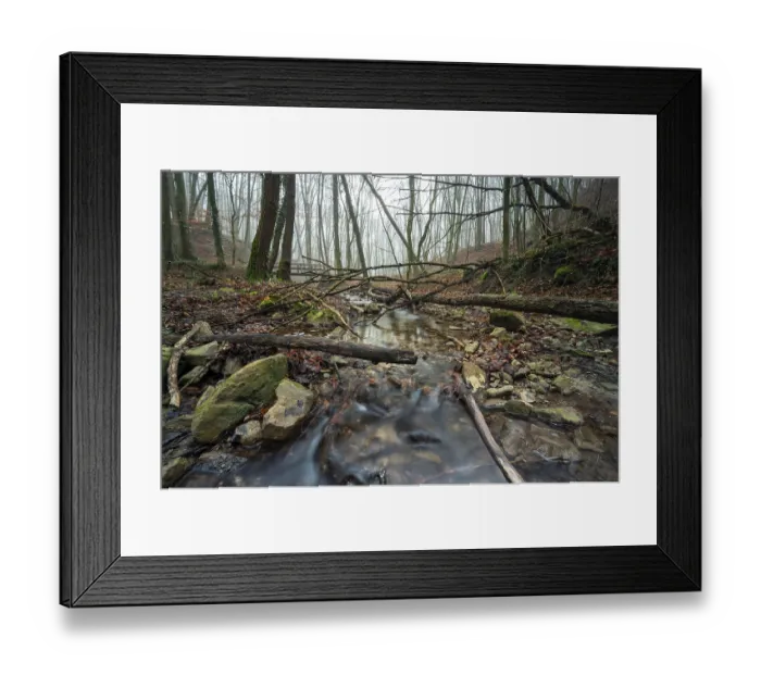 Framed Print : A small stream in the forest of Zeiselmauer-Wolfpassing