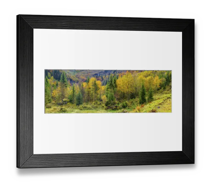 Framed Print : Autumnal mountain forest in the Oytal Framed Print : Autumnal mountain forest in the Oytal