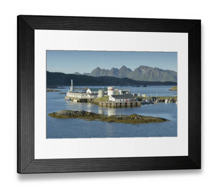 Framed Print : Fishing company in Svolvaer, Lofoten