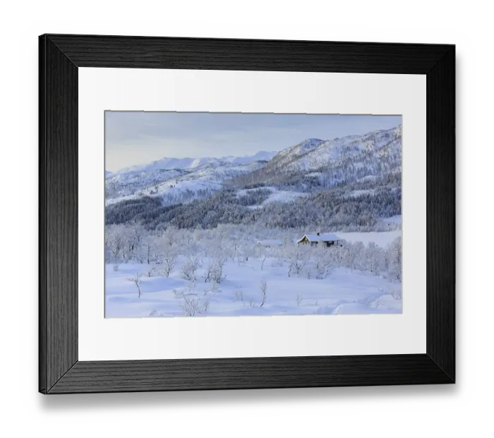 Framed Print : Wintry landscape, house between snowy trees Framed Print : Wintry landscape, house between snowy trees