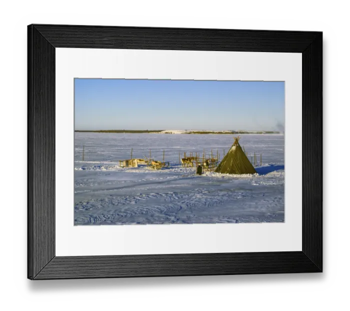 Framed Print : Picturesque view of reindeers on a snowy plain in Finland
