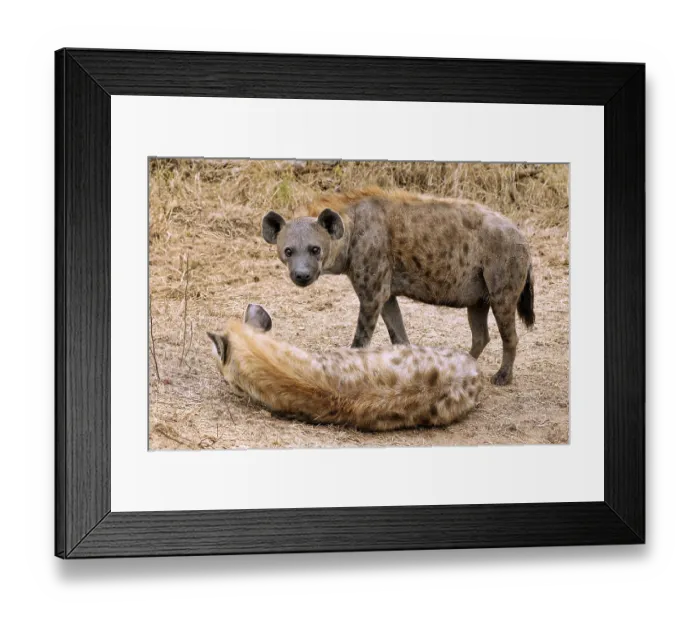 Framed Print : T Framed Print : T