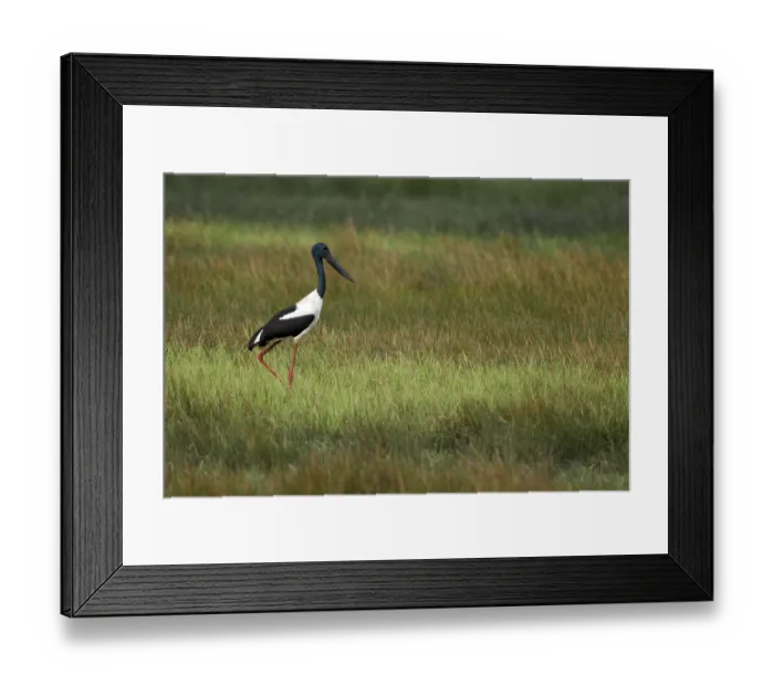 Framed Print : Australien Framed Print : Australien