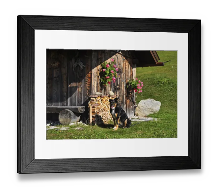 Framed Print : Wooden hut, Isar valley, Bavaria