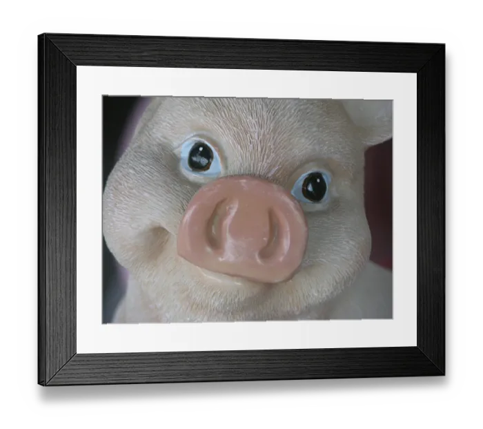 Framed Print : Portrait of a plastic pig Framed Print : Portrait of a plastic pig