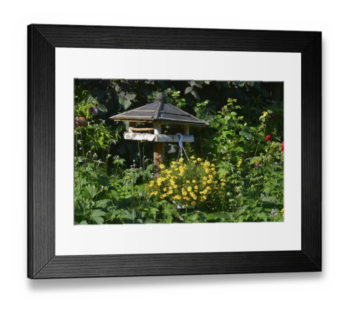 Framed Print : Birdhouse with hanging plant flowering Framed Print : Birdhouse with hanging plant flowering