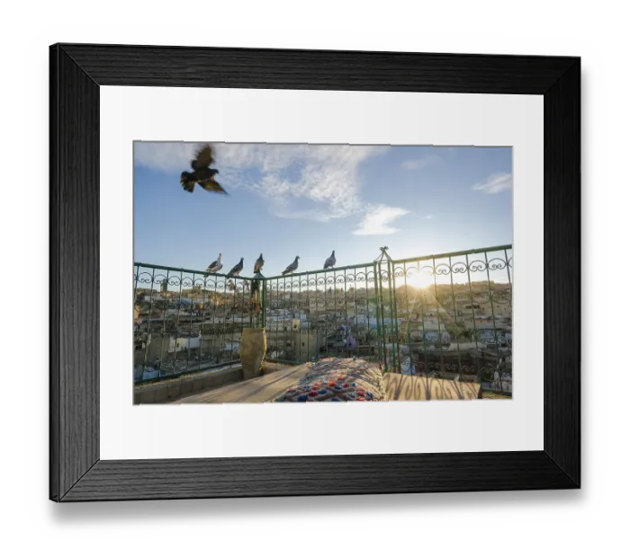Framed Print : Pigeons resting on rooftop terrace in Medina during sunset
