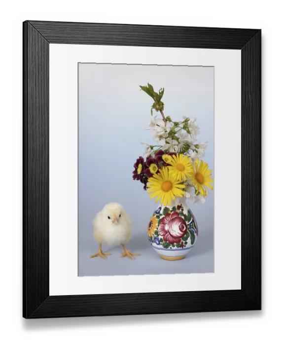 Framed Print : Easter setting with chick