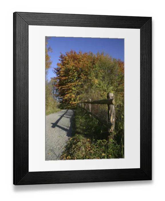 Framed Print : Hiking trail in an autumn landscape