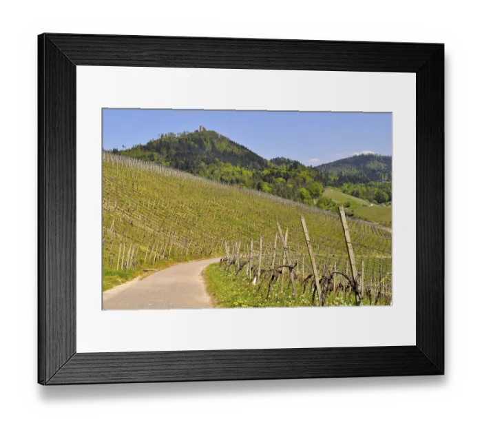 Framed Print : Yburg in the Black Forest near Baden-Baden