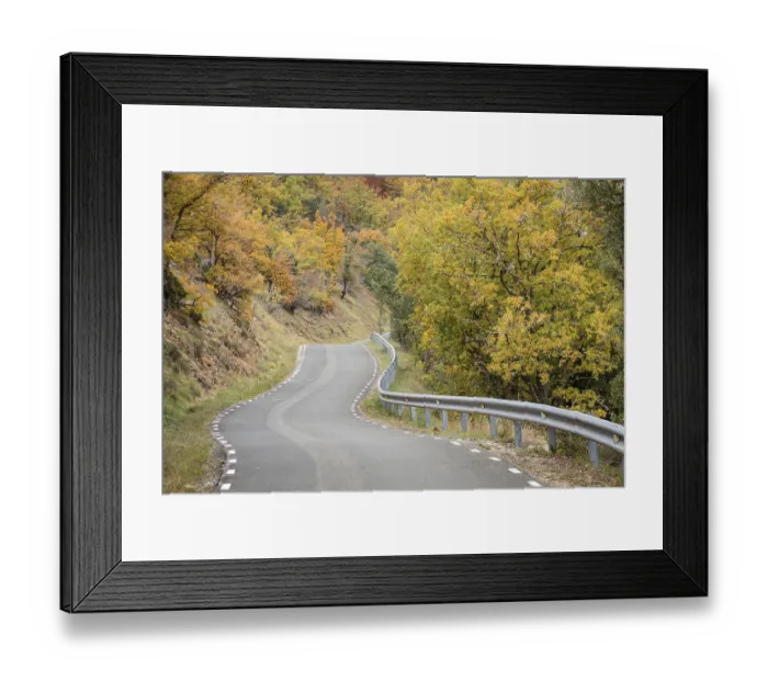 Framed Print : Road crossing an oak grove in autumn