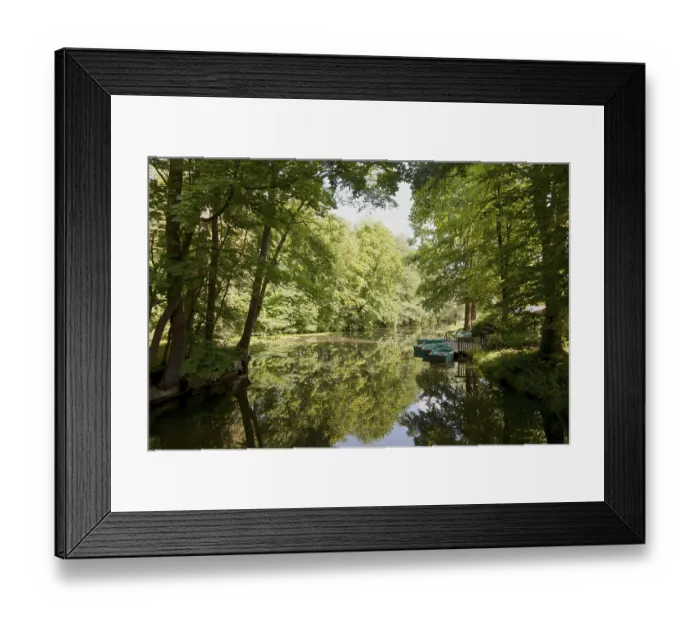 Framed Print : WaterReflections