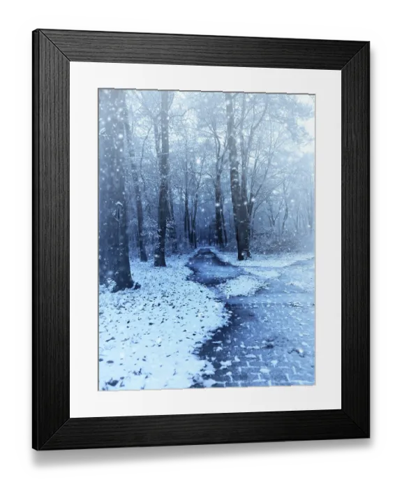 Framed Print : Winter scene with a small beech forest