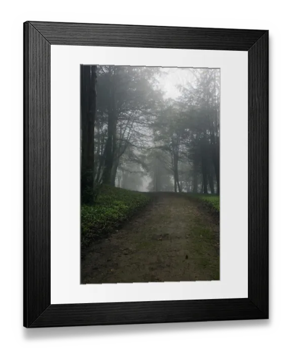 Framed Print : Path through forest, mist