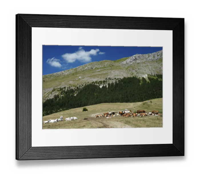 Framed Print : Gran Sasso and Monti della Laga National Park