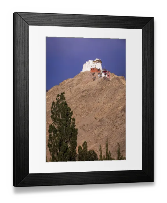 Framed Print : Namgyal Tsemo Gompa (Monastery)
