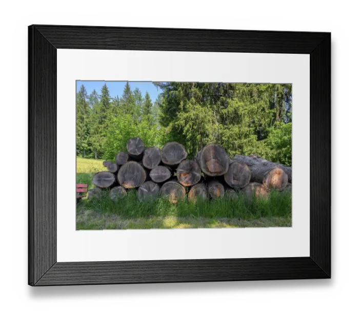 Framed Print : Stacked tree trunks at the edge of the forest