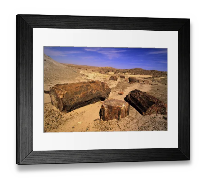 Framed Print : Petrified trees, Petrified Forest National Park