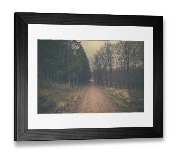 Framed Print : Nature road in a forest with pine at dawn Framed Print : Nature road in a forest with pine at dawn