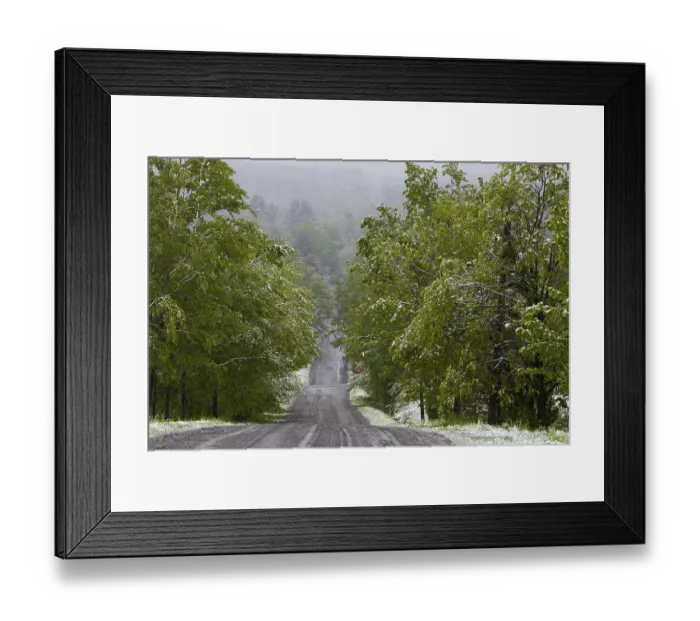 Framed Print : Road through forest with snow, Fulford Framed Print : Road through forest with snow, Fulford