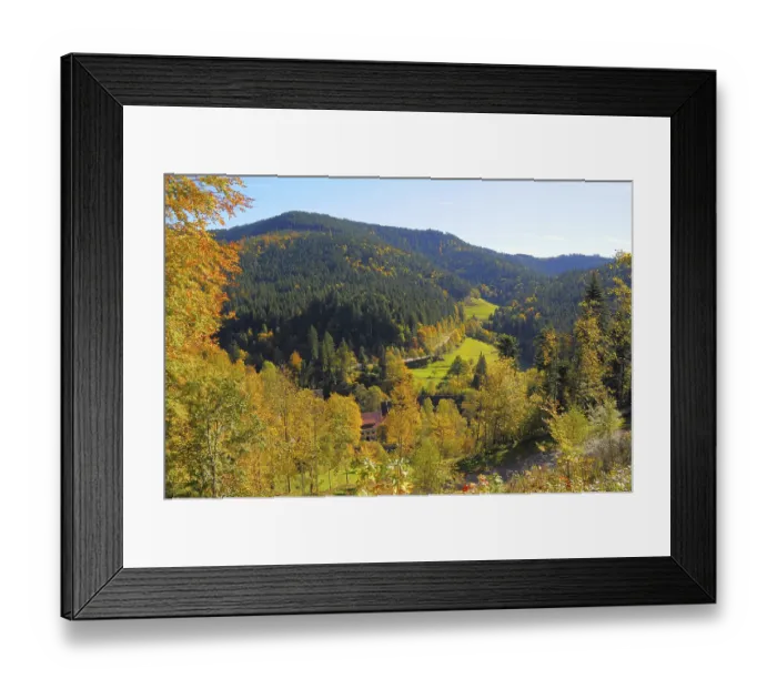 Framed Print : Black Forest near All Saints Day in autumn