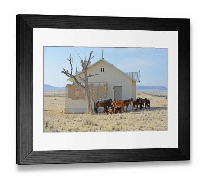 Framed Print : Wild horses at derelict Garub railway station building Framed Print : Wild horses at derelict Garub railway station building