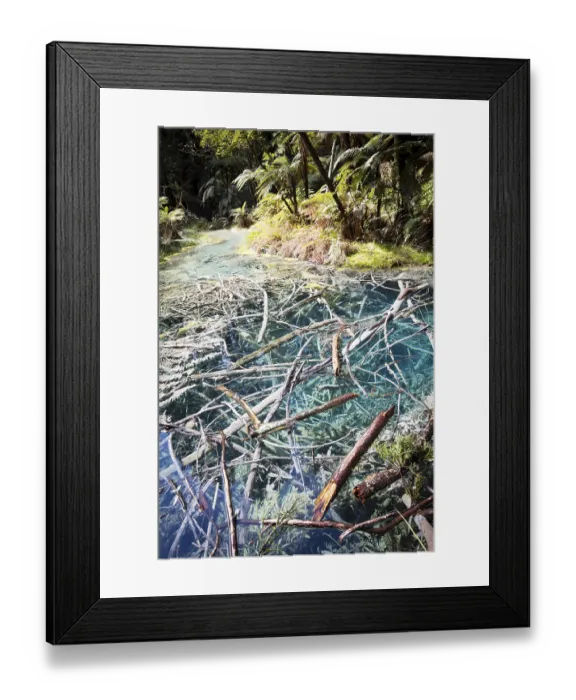 Framed Print : Acidic sulphur pools in the Redwoods forest park Framed Print : Acidic sulphur pools in the Redwoods forest park