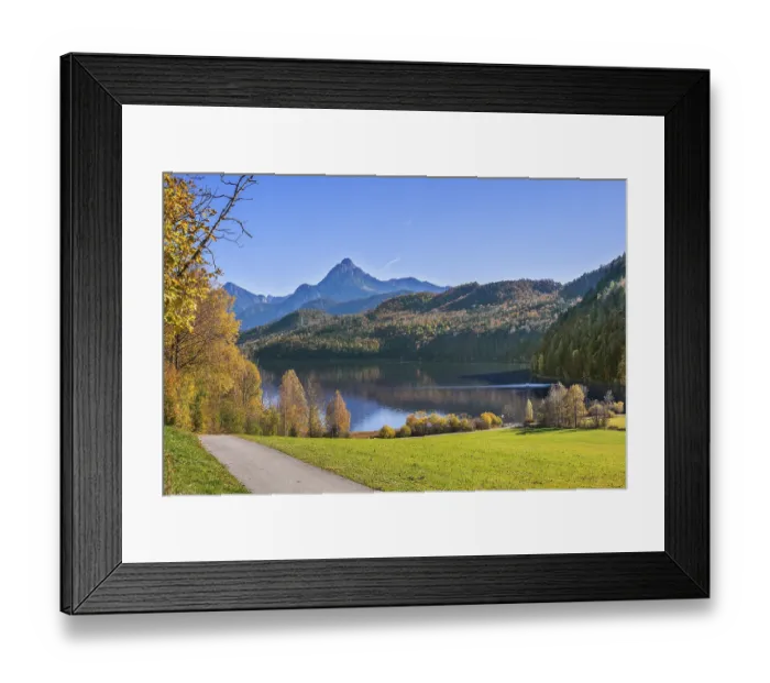 Framed Print : Mixed forest at the WeiBensee near Fussen
