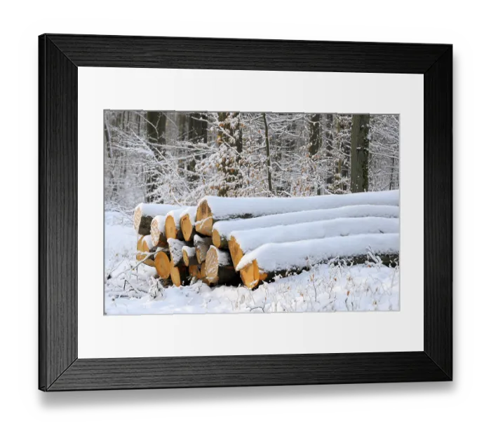 Framed Print : Log store in the winter forest with snow