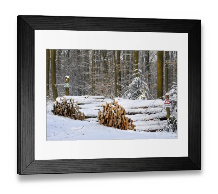 Framed Print : Log store in the winter forest with snow Framed Print : Log store in the winter forest with snow