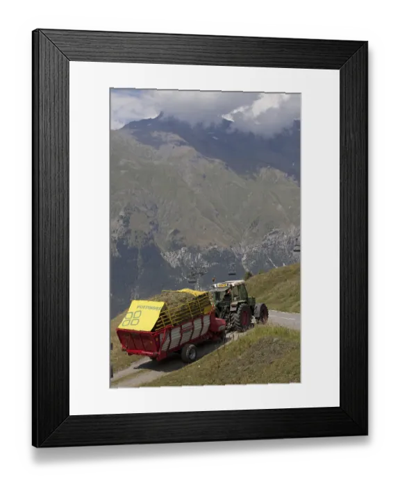 Framed Print : Tractor pulling fodder wagon with grass crop at harvest