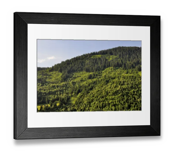 Framed Print : Switzerland, railway line to Thusis