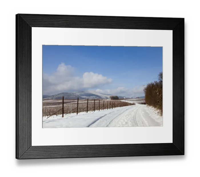 Framed Print : Winter in the Southern Palatinate