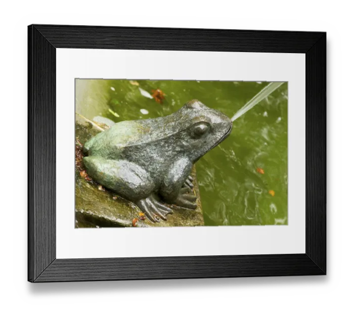 Framed Print : Fountain at Theresienstein with frog motifs