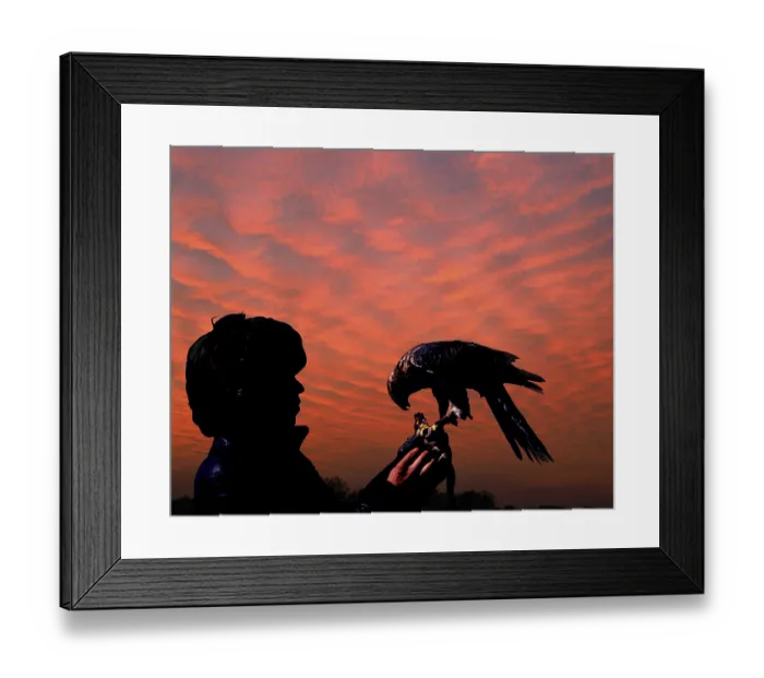 Framed Print : FALCONER WITH GOSHAWK (accipiter gentilis) Framed Print : FALCONER WITH GOSHAWK (accipiter gentilis)
