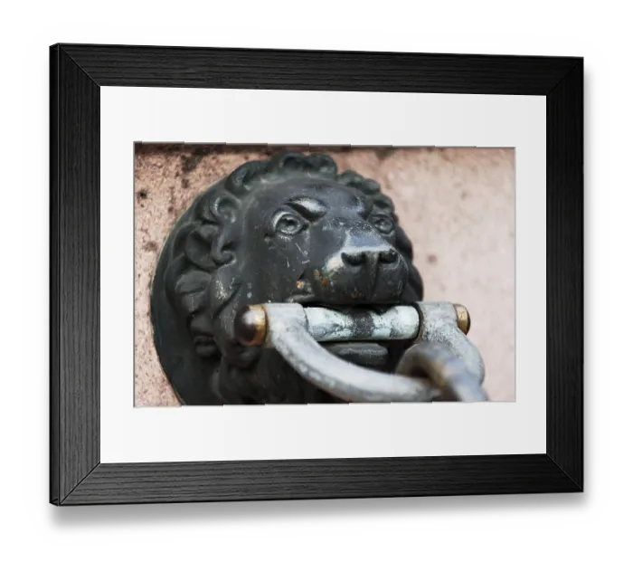 Framed Print : Lion head made of bronze, holding the end of a chain