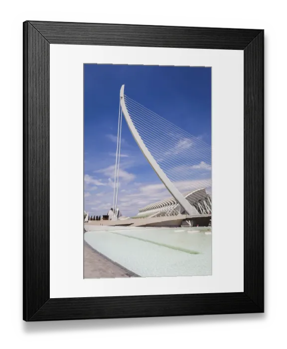 Framed Print : The City of Arts and Sciences of Valencia, Spain
