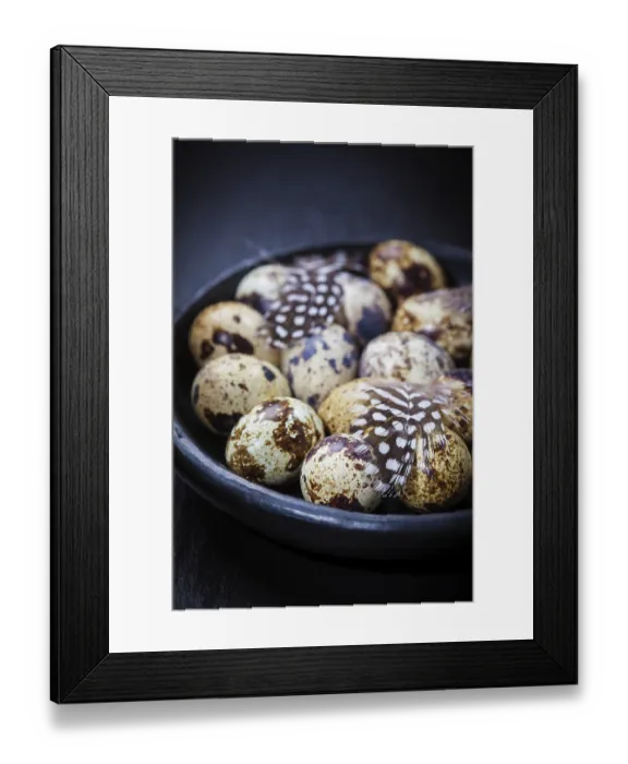 Framed Print : Easter still life with quail eggs on black background