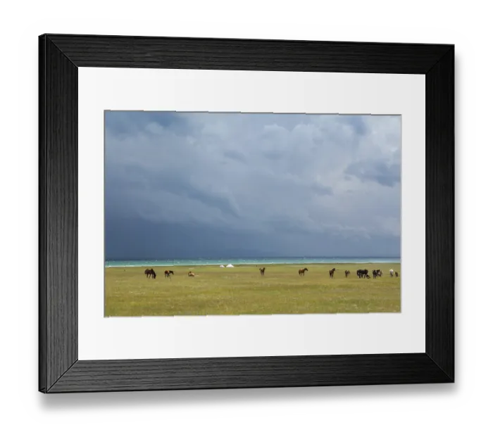 Framed Print : Horses under rain clouds at the lake Song Kul