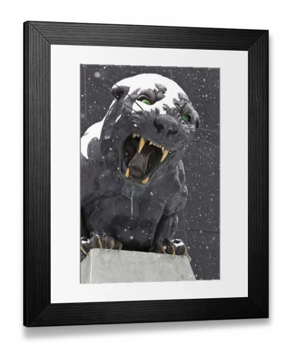 Framed Print : Bank of America Stadium in uptown Charlotte Framed Print : Bank of America Stadium in uptown Charlotte