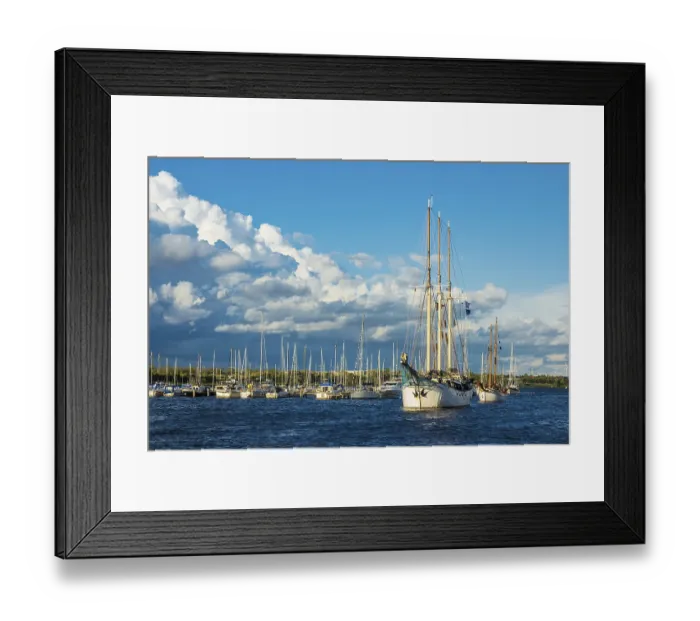 Framed Print : Sailing ships at the Hanse Sail in Rostock Framed Print : Sailing ships at the Hanse Sail in Rostock