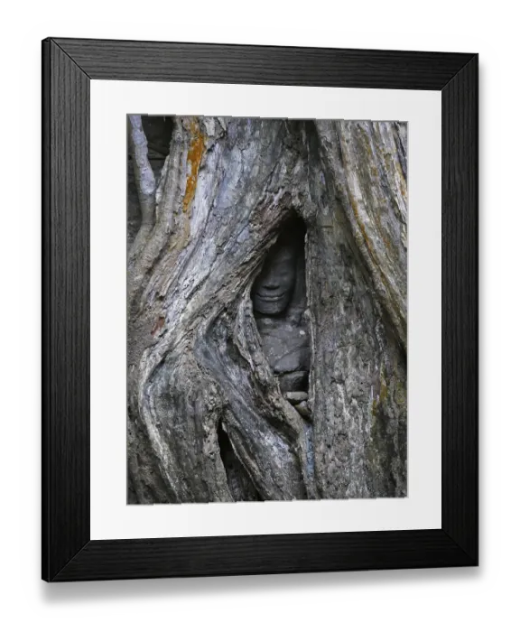 Framed Print : Tree roots grow over the ancient Ta Prohm temple Framed Print : Tree roots grow over the ancient Ta Prohm temple