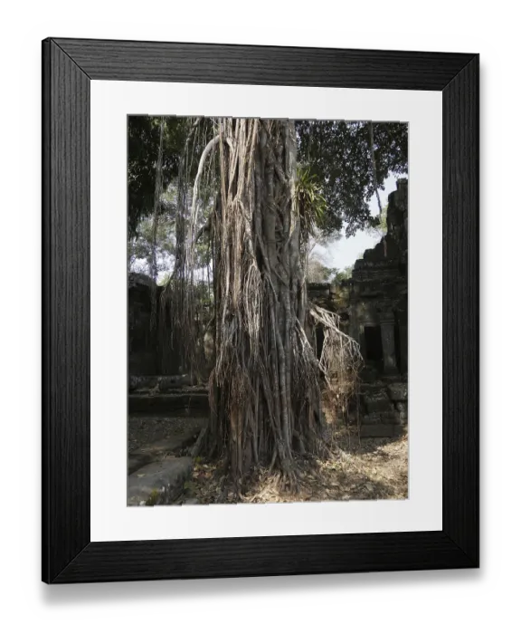 Framed Print : Preah Khan Temple, Siem Reap Province