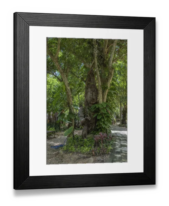 Framed Print : Heiligtum der Wahrheit, Pattaya, Thailand Framed Print : Heiligtum der Wahrheit, Pattaya, Thailand