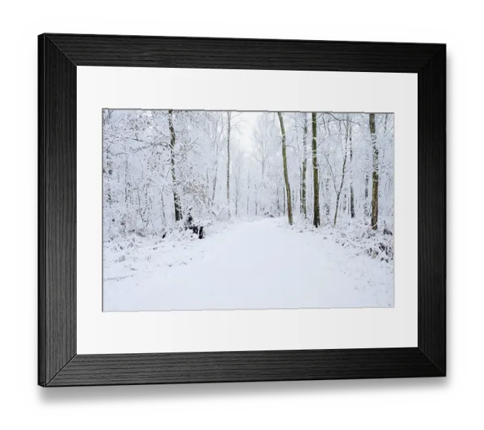 Framed Print : Path through a snow-covered deciduous forest