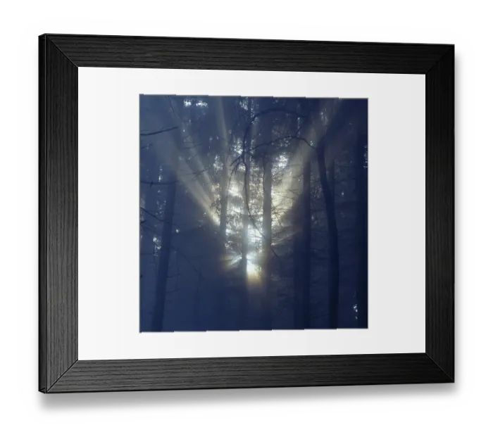 Framed Print : Fog in the forest with rays of sunshine